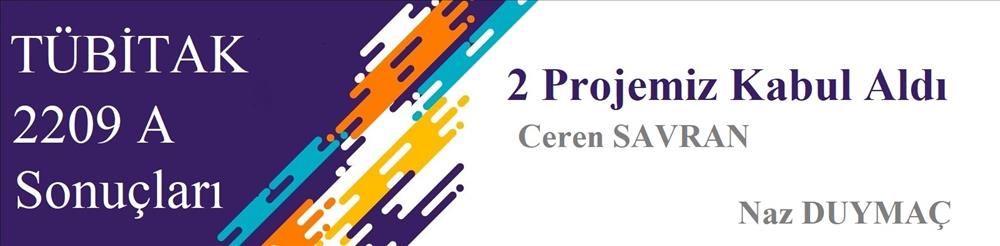 TÜBİTAK 2209 A Projeleri