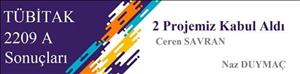 TÜBİTAK 2209 A Projeleri